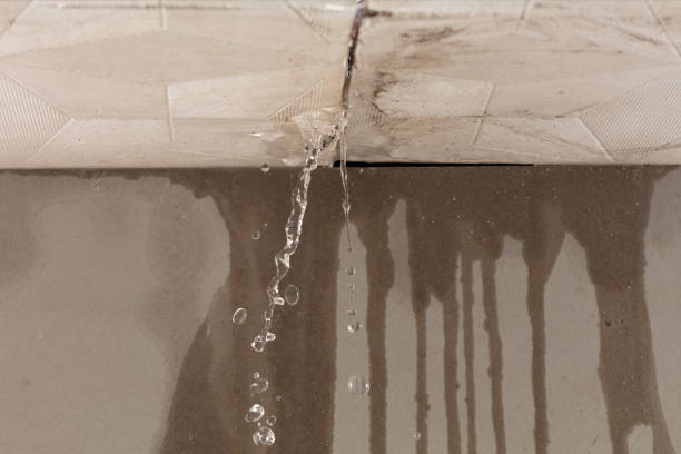 Professional Structural Drying technician working in Frenchboro, ME